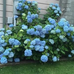 Meet your Posher, Eileen